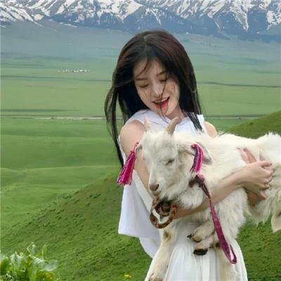 藏春洞封面